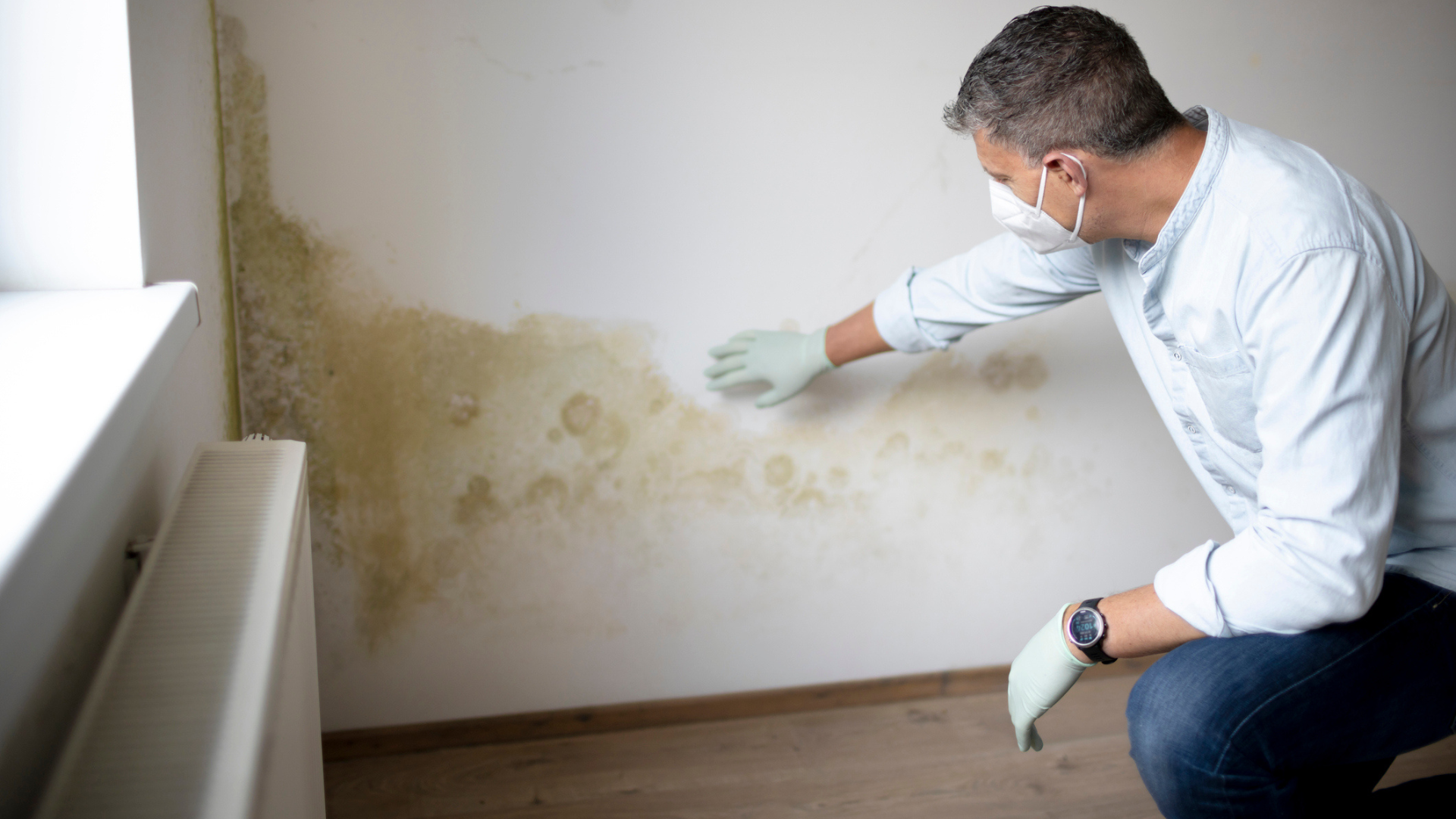 Common Issues Found in Texas Homes 