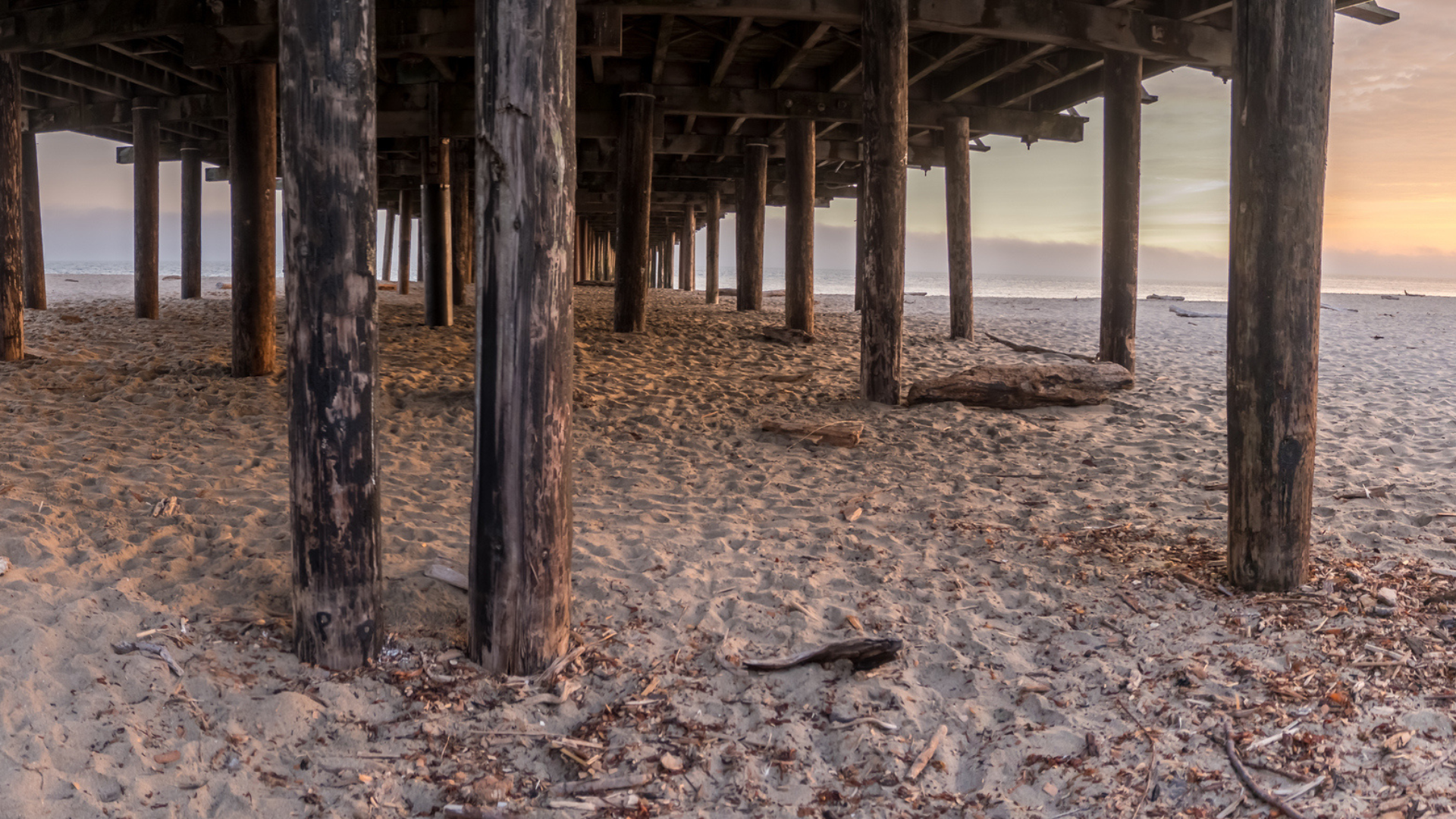 Pier and Beam Home Inspections in Texas: What You Need to Know 